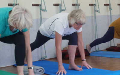 Seniortraning gym Seniorträning