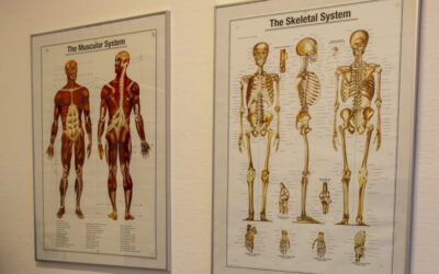 Rehabtraning Rehabträning
