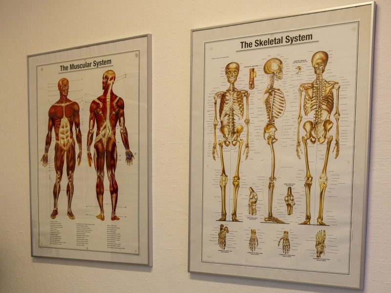 Rehabträning